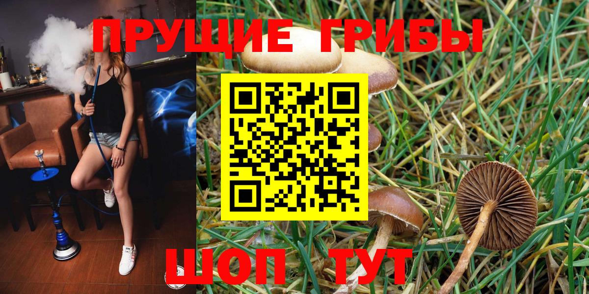 Старая Купавна  Псилоцибиновые грибы Psilocybine cubensis  Вход с VPN 