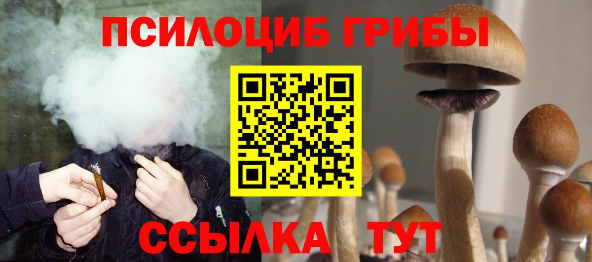 Псилоцибиновые грибы мухоморы Старая Купавна